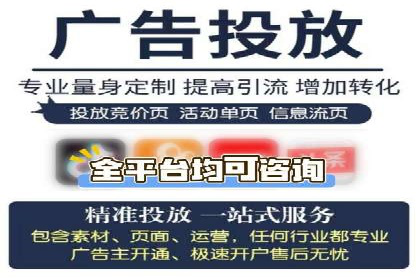 案例分析：百度竞价托管助力行业龙头
